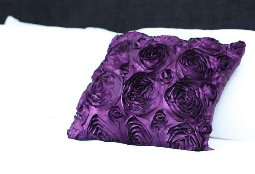 标准单人间, The Ship Leopard Hotel No Children