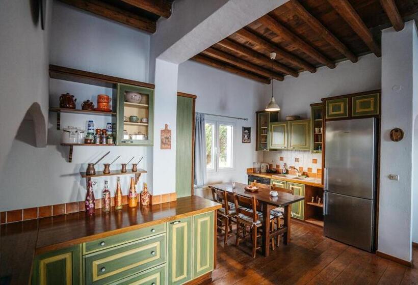 דירת חדר, Cape Napos