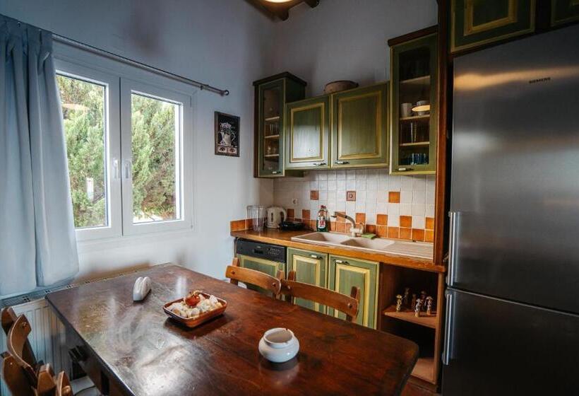 דירת חדר, Cape Napos