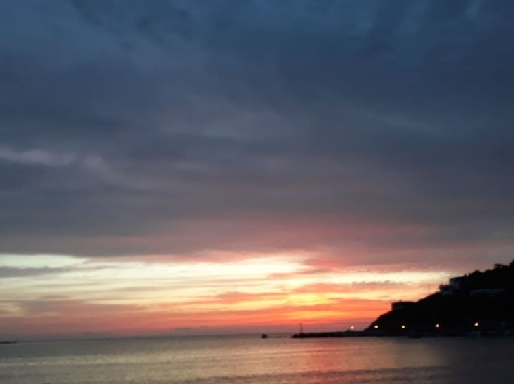 اتاق خانوادگی, Blue Harmony