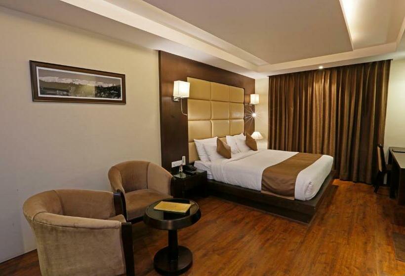 חדר דלוקס, Clarks Inn Srinagar