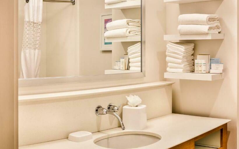 带大床的标准间, Hampton Inn & Suites Charleston Airport