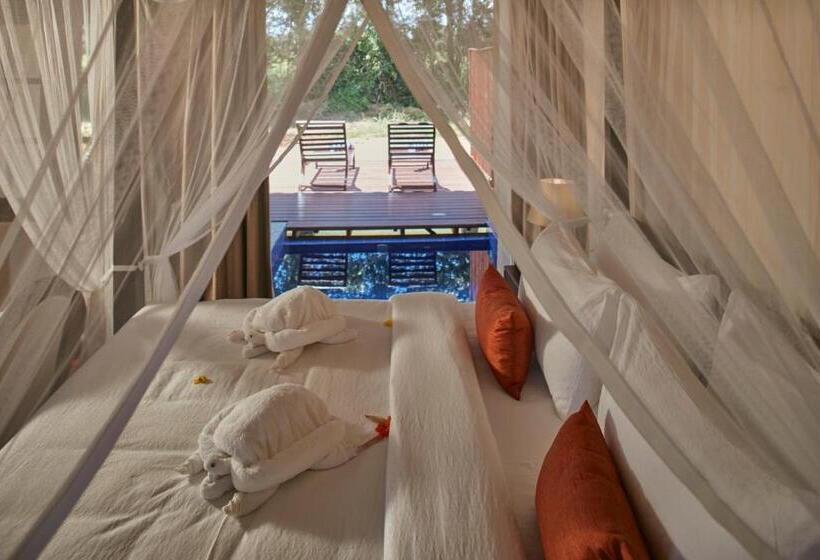 기본룸, Seerock The Kings Domain