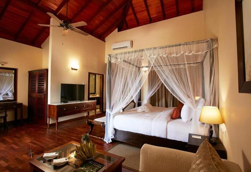 기본룸, Seerock The Kings Domain