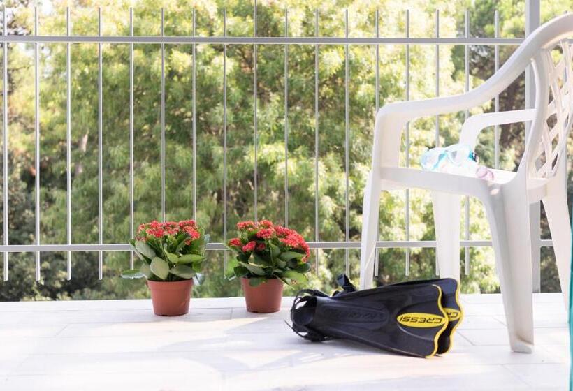 اتاق استاندارد سه تخته با بالکن, Regina Hotel E Ristorante