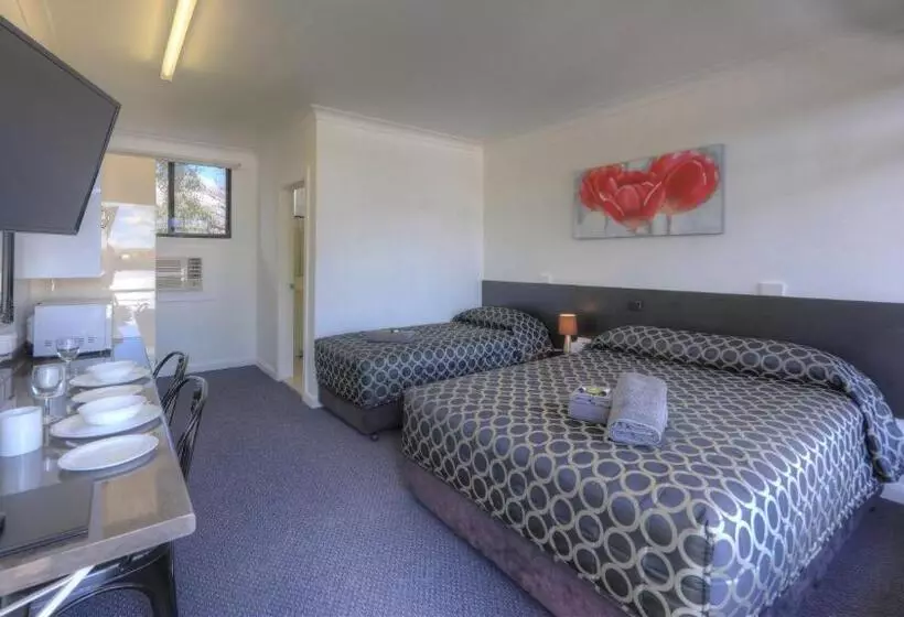 Deluxe Yhden Hengen Huone, Twin Swans Motel