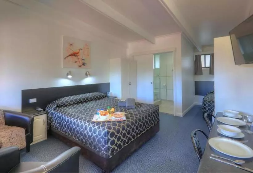Deluxe Yhden Hengen Huone, Twin Swans Motel