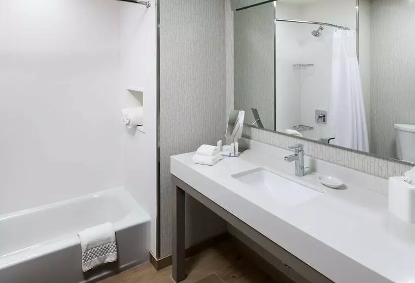 ２ダブルベッドのスタンダードルーム, Courtyard By Marriott Fort Worth Historic Stockyards
