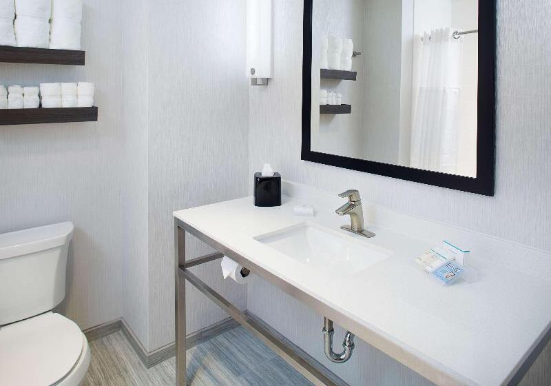 غرفة قياسية سرير كينج, Hilton Garden Inn Dallas/arlington South