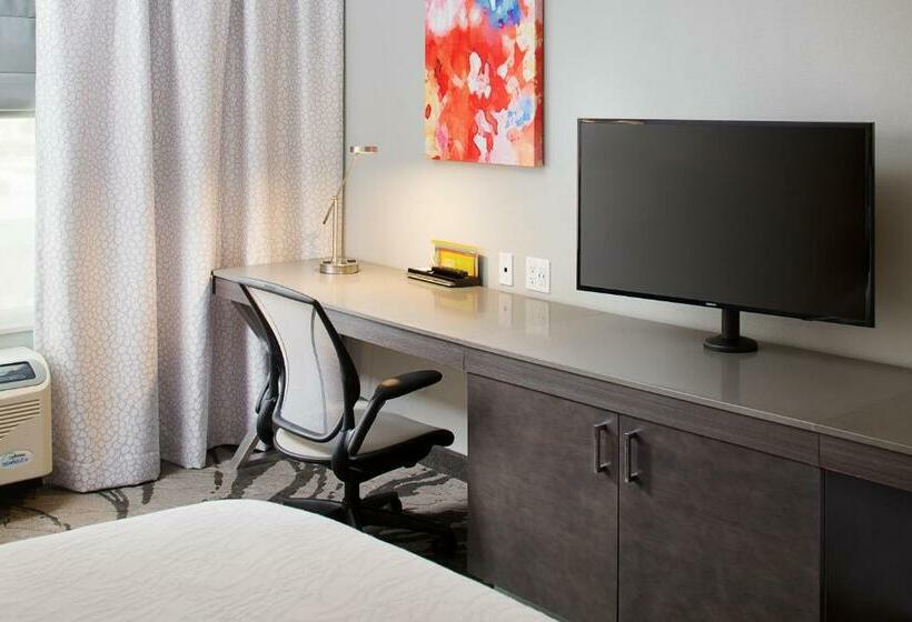 غرفة قياسية سرير كينج لذوى الإحتياجات الخاصة, Hilton Garden Inn Dallas/arlington South