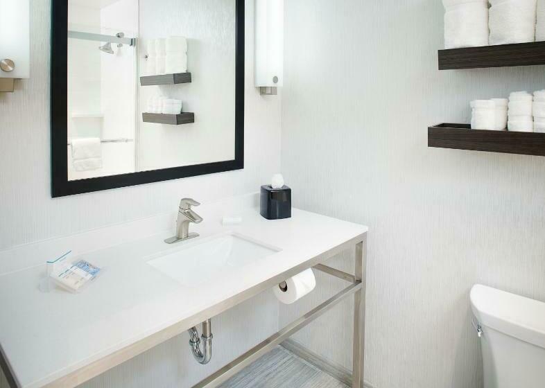 غرفة قياسية سرير كينج لذوى الإحتياجات الخاصة, Hilton Garden Inn Dallas/arlington South