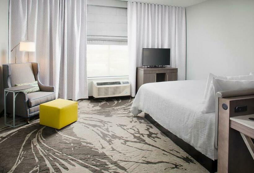 غرفة إدارية سرير كينج, Hilton Garden Inn Dallas/arlington South