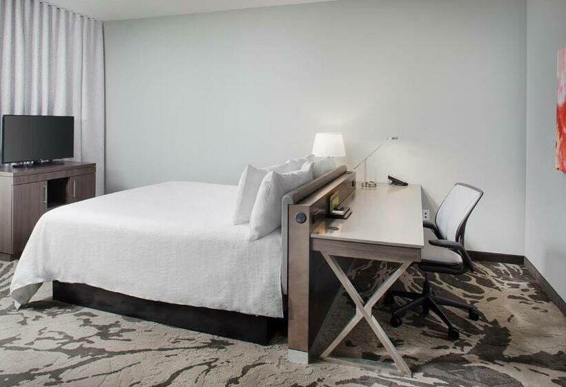 غرفة إدارية سرير كينج, Hilton Garden Inn Dallas/arlington South