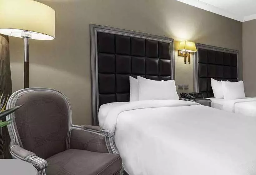 リバービュースタンダードルーム, Hilton Quanzhou Riverside