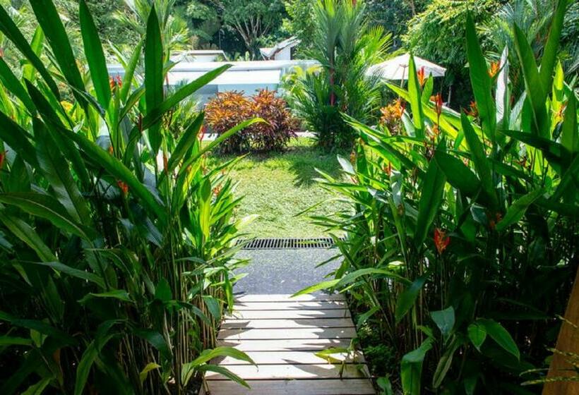 סוויטה, La Vela Boutique