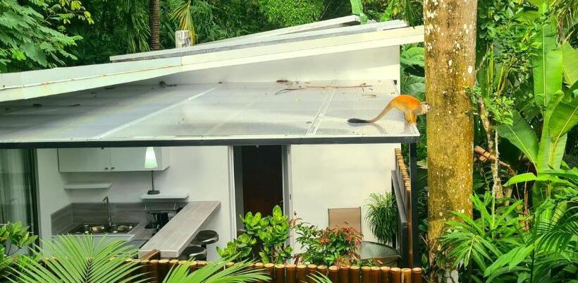 חדר סטנדרט לארבעה, La Vela Boutique