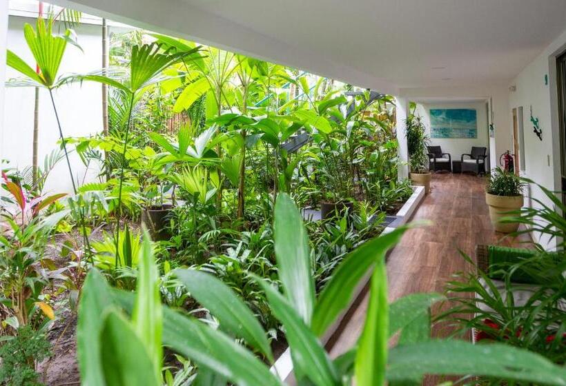 סוויטה, La Vela Boutique