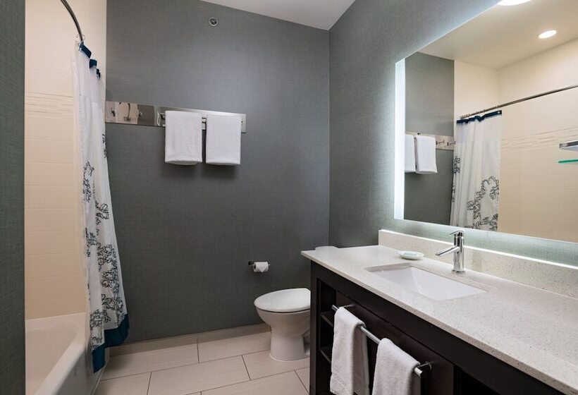 套房, Residence Inn By Marriott Austin Southwest