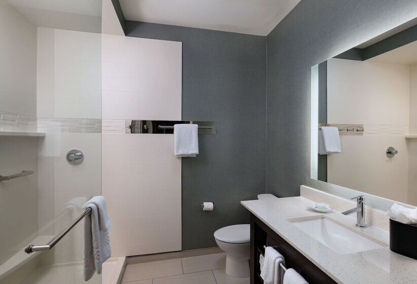套房, Residence Inn By Marriott Austin Southwest