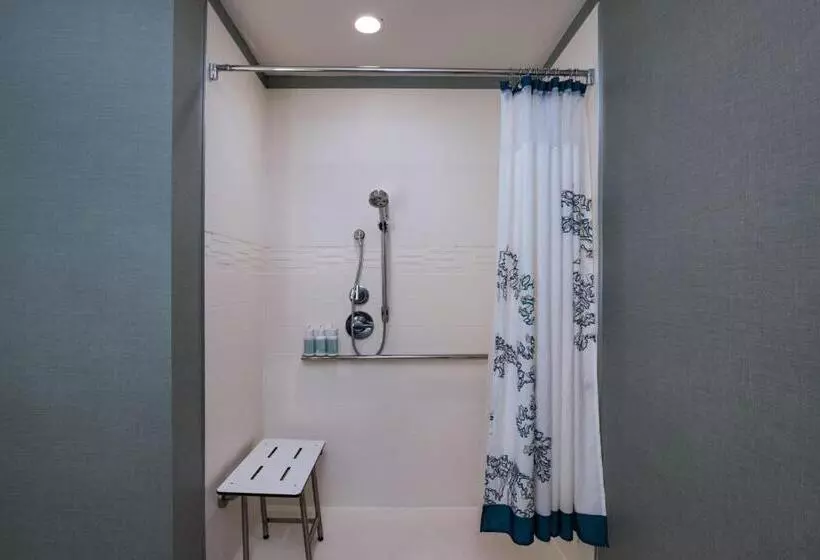 Standard-studio King-vuode, Residence Inn By Marriott Austin Southwest