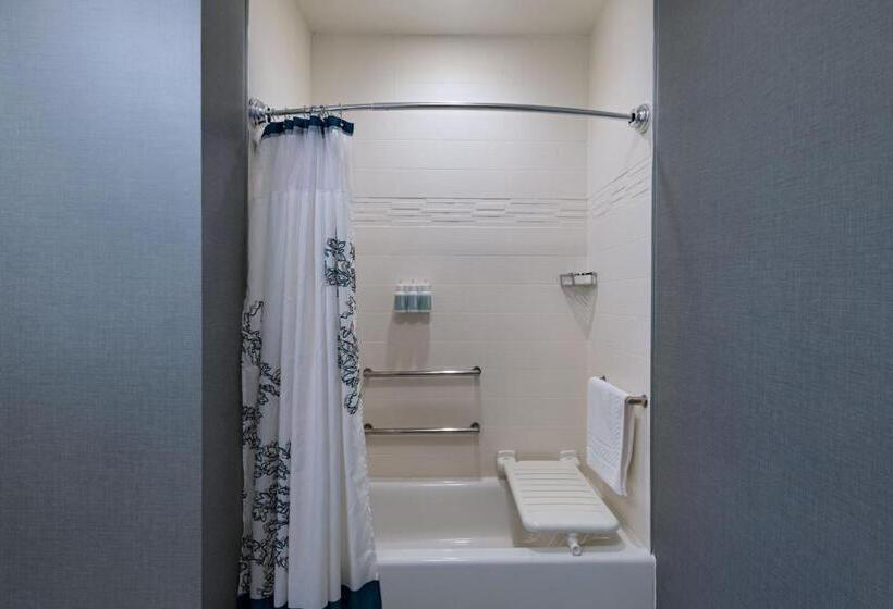 带大床的标准工作室, Residence Inn By Marriott Austin Southwest