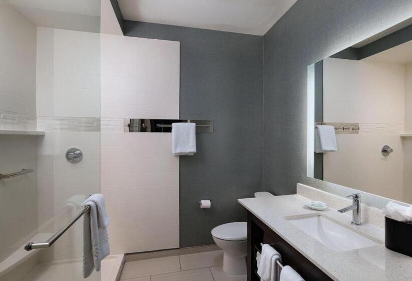 带大床的标准工作室, Residence Inn By Marriott Austin Southwest