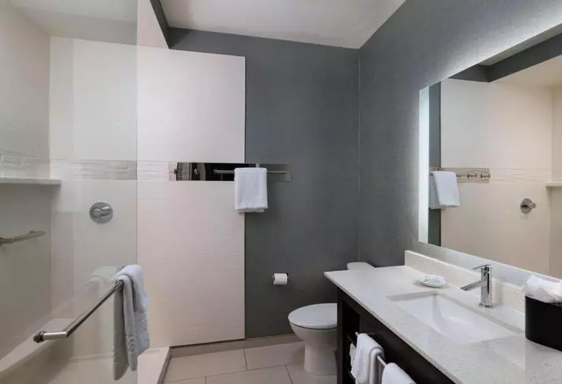 Standard-studio King-vuode, Residence Inn By Marriott Austin Southwest