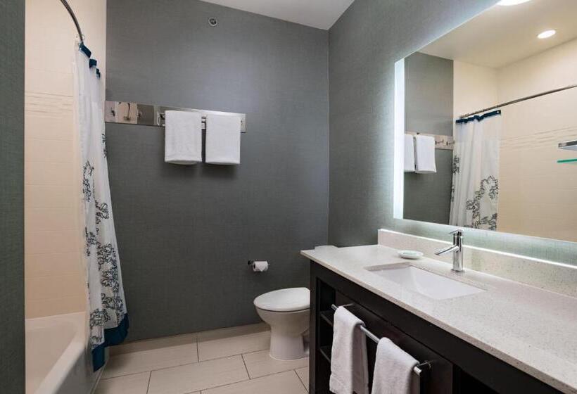 套房, Residence Inn By Marriott Austin Southwest