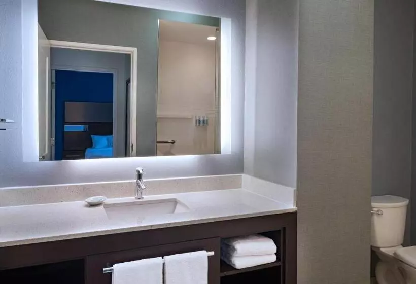 Sviitti King-vuode, Residence Inn By Marriott Austin Southwest
