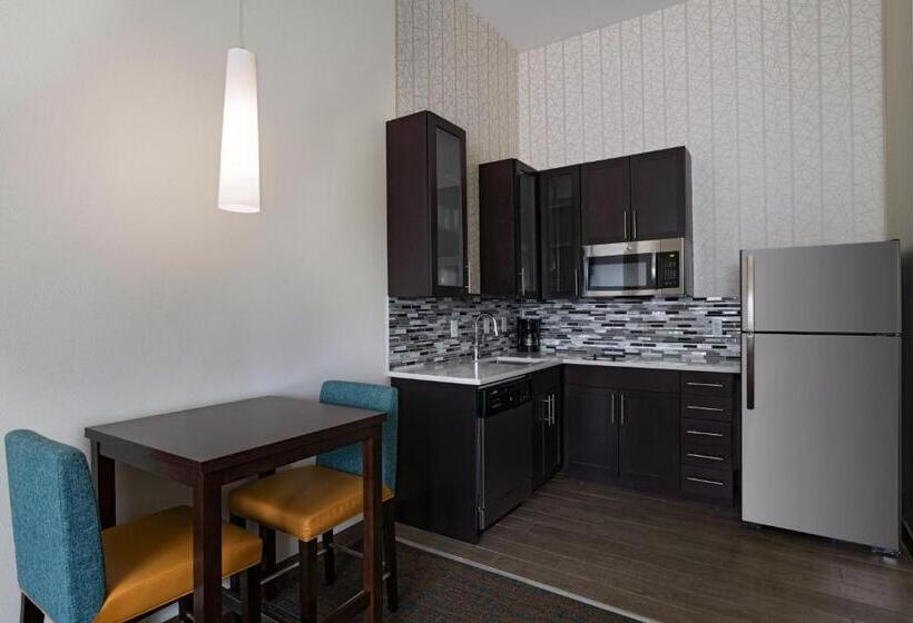 带大床的套房, Residence Inn By Marriott Austin Southwest