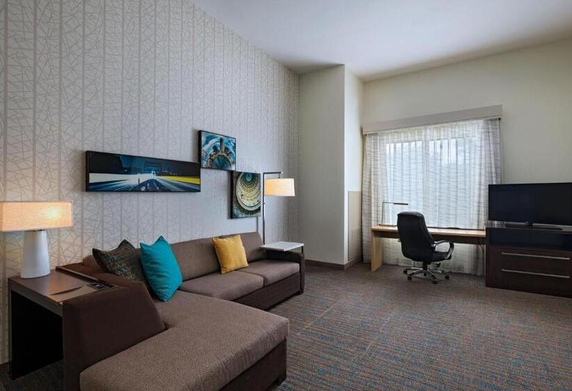 带大床的套房, Residence Inn By Marriott Austin Southwest