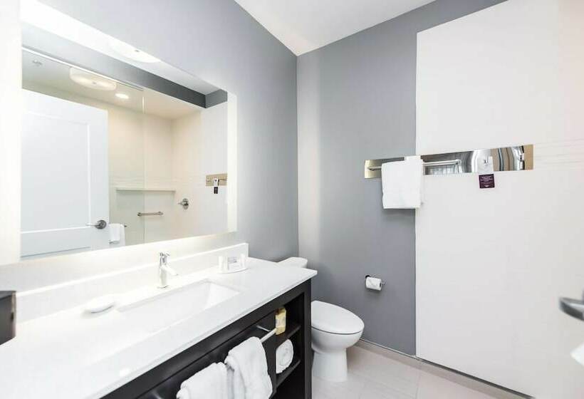 套房, Residence Inn By Marriott Austin Southwest