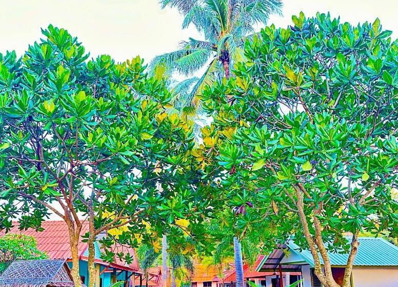 بنجلو سوبيريور, Lanta L.d. Beach Bungalow