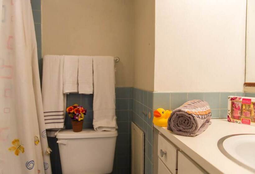 استودیو ساده, Montego Bay Club Apartments