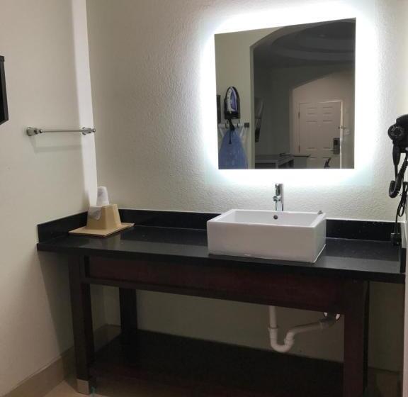 장애인을 위한 킹사이즈 침대 스탠다드 룸, Americas Best Value Inn & Suites Spring / N. Houston