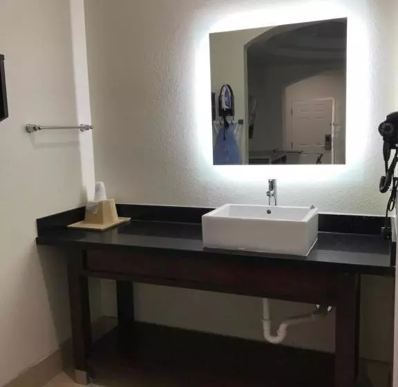 身障者適用キングサイズベッドルーム, Americas Best Value Inn & Suites Spring / N. Houston