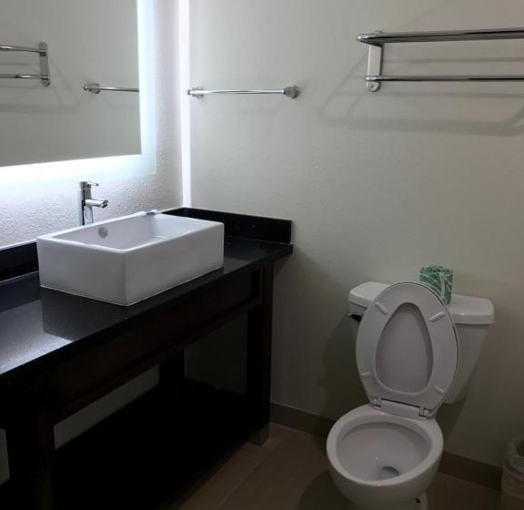 장애인을 위한 킹사이즈 침대 스탠다드 룸, Americas Best Value Inn & Suites Spring / N. Houston