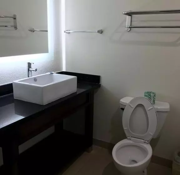 身障者適用キングサイズベッドルーム, Americas Best Value Inn & Suites Spring / N. Houston