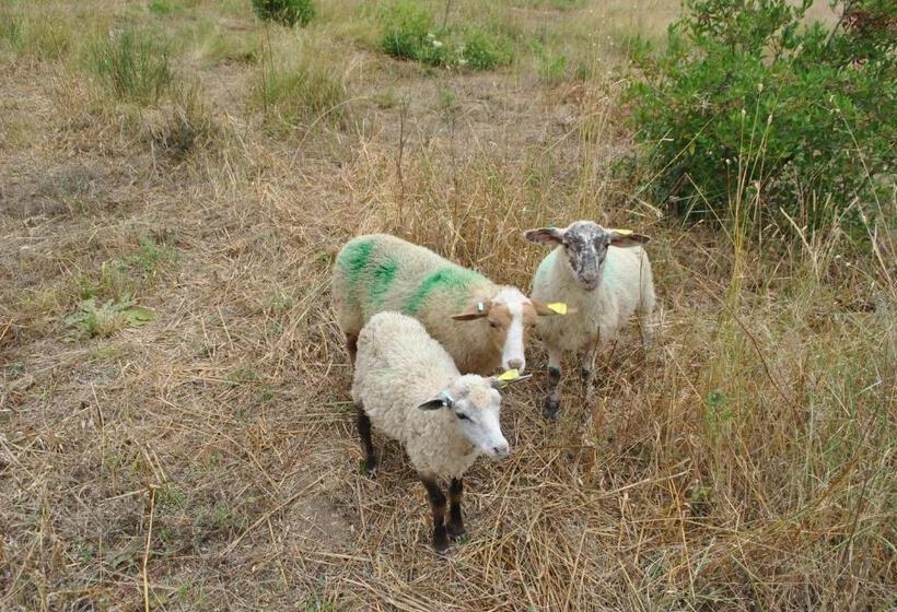 스탠다드 룸, Chambres D Hôtes & Spa Le Relais De La Cavayere