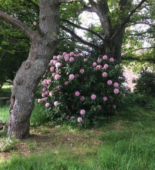 חדר משפחתי, La Forge De La Coudraie