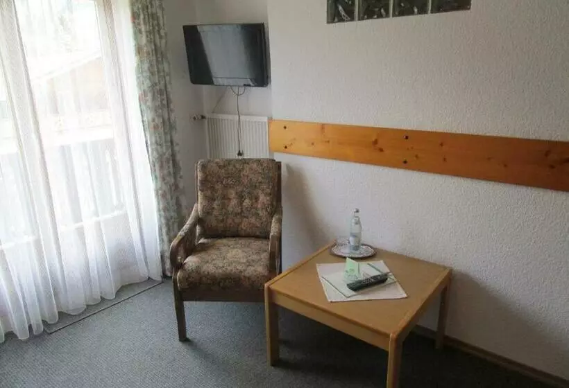 Standard Yhden Hengen Huone, Pension Unterstein