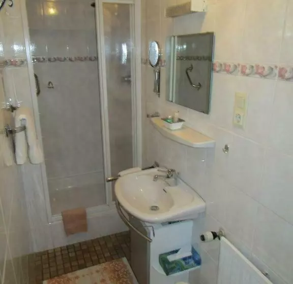 Standard Yhden Hengen Huone, Pension Unterstein