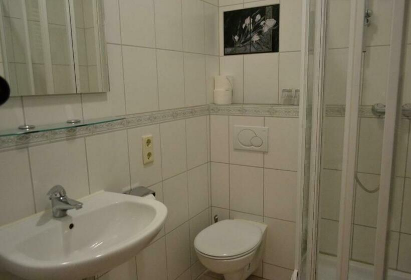 Номер Стандарт, Amadeus