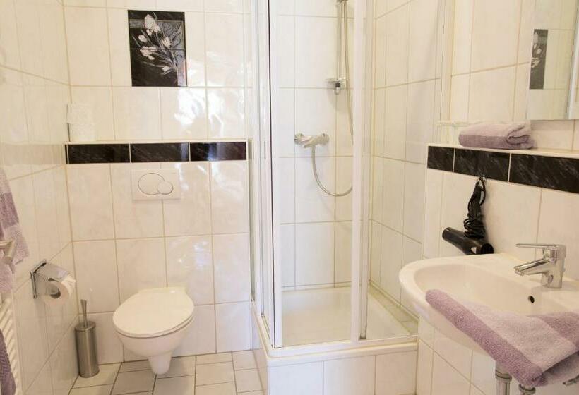 Номер Стандарт, Amadeus