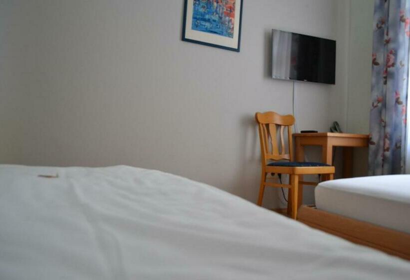 Номер Стандарт, Amadeus