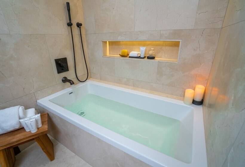 可观景的小型套房, Nobu Hotel Miami Beach