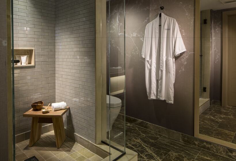 可观景的小型套房, Nobu Hotel Miami Beach