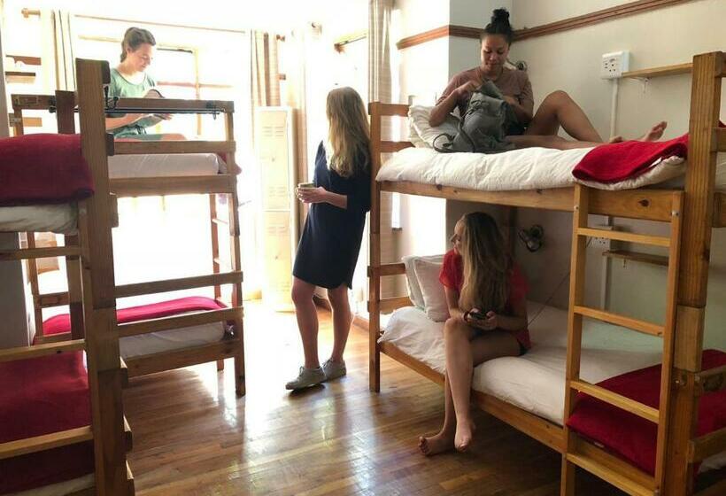 ルームシェアのワンベッド, A Sunflower Stop Backpackers