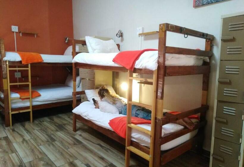 מיטה בחדר משותף, A Sunflower Stop Backpackers