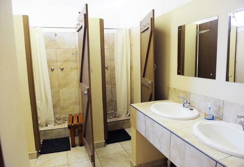 מיטה בחדר משותף, A Sunflower Stop Backpackers